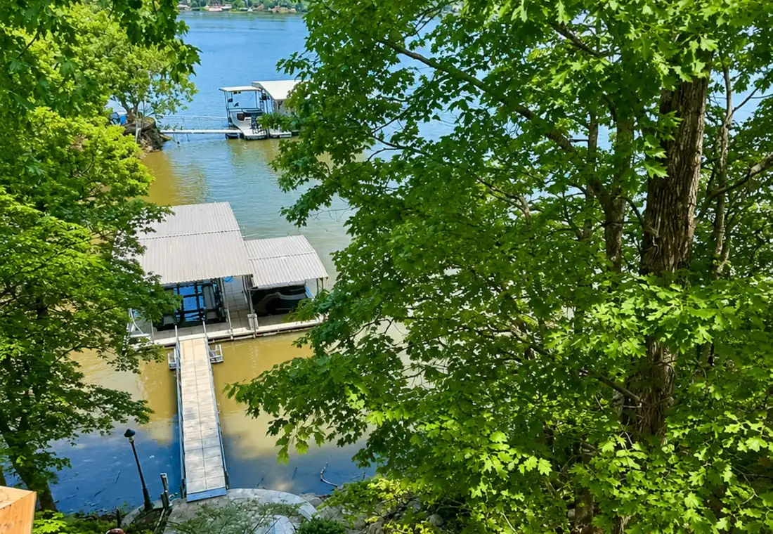 Looking down through the trees to the dock and walkway on a summer day